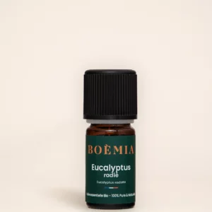 HE Eucalyptus radié 10 ml