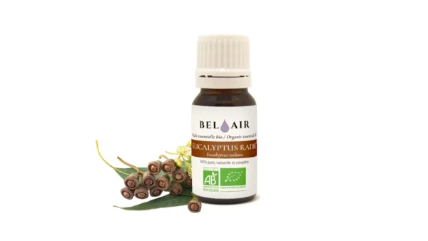 HE Eucalyptus radié 10 ml